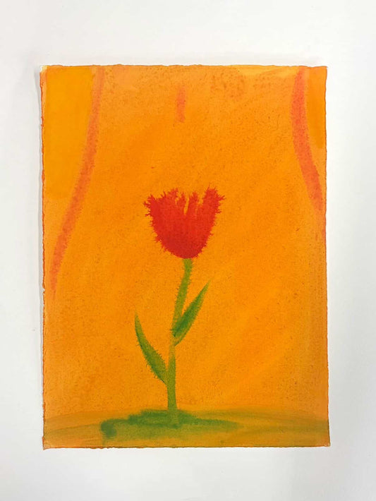 Tulip