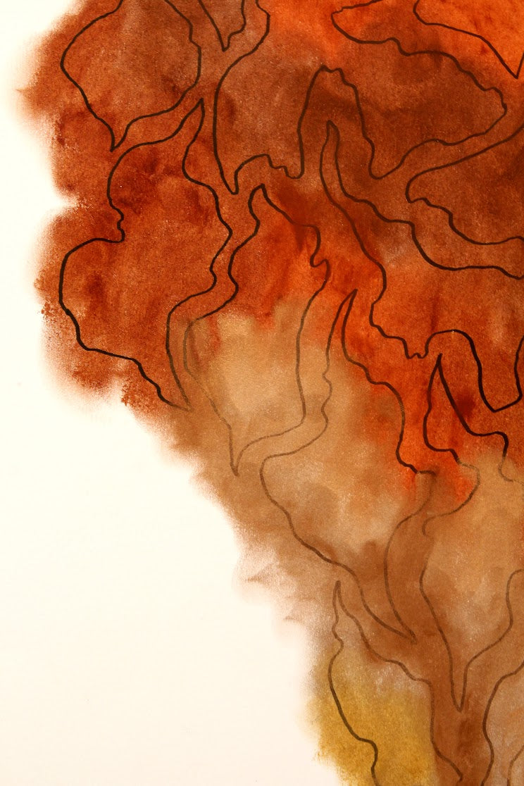 Huellas Cartográficas
