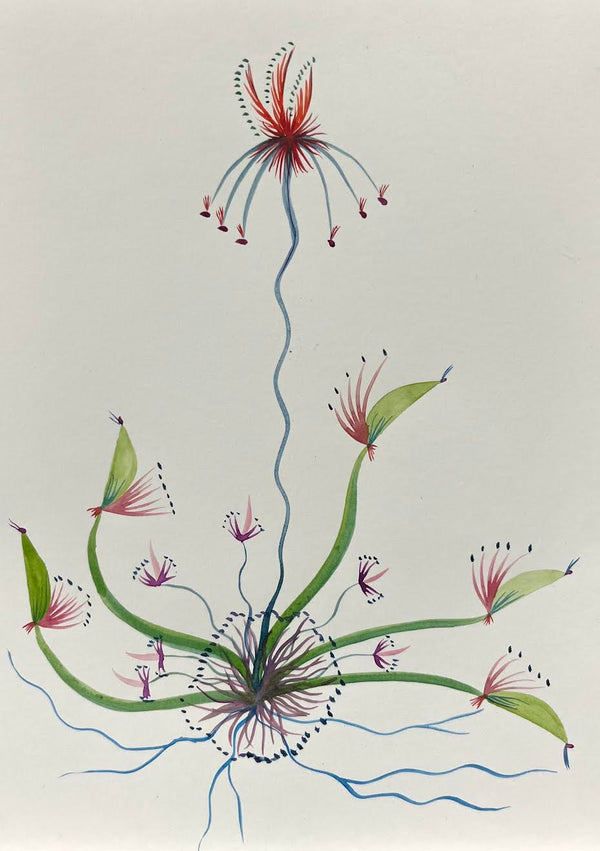 A Day Long Bloom